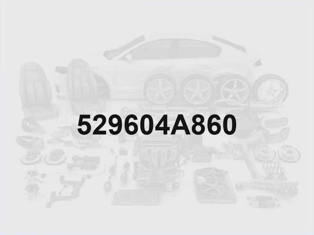 Wheel Hub Cap
