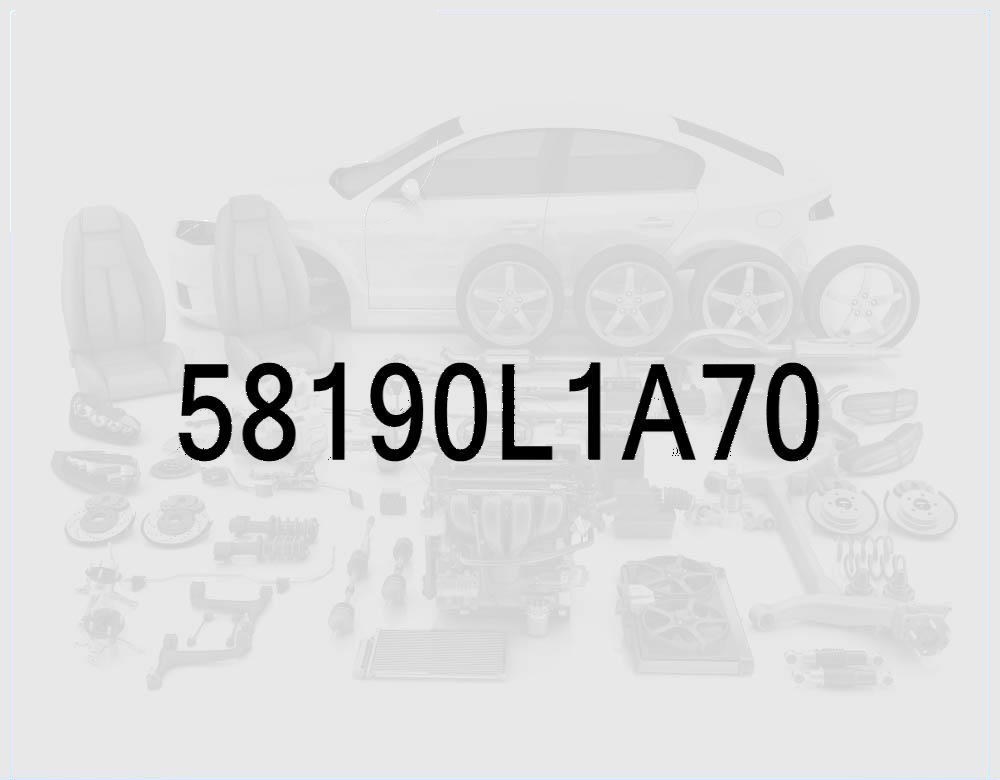 Front Brake Caliper Kit, Right