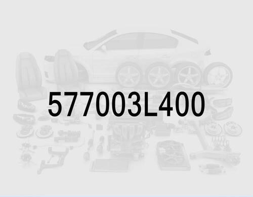 Power Steering Gear and Linkage