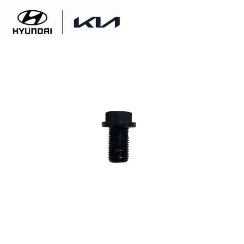 Oil Drain Plug