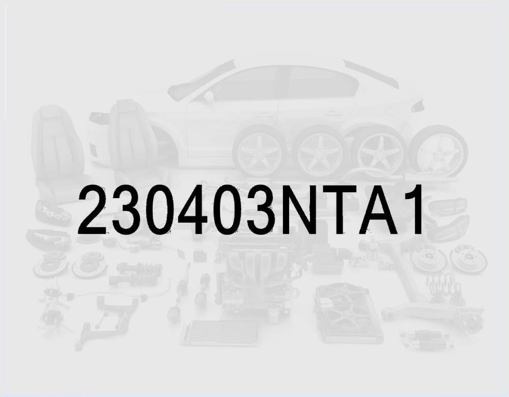 Piston Ring Set