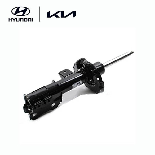 Front Left Strut