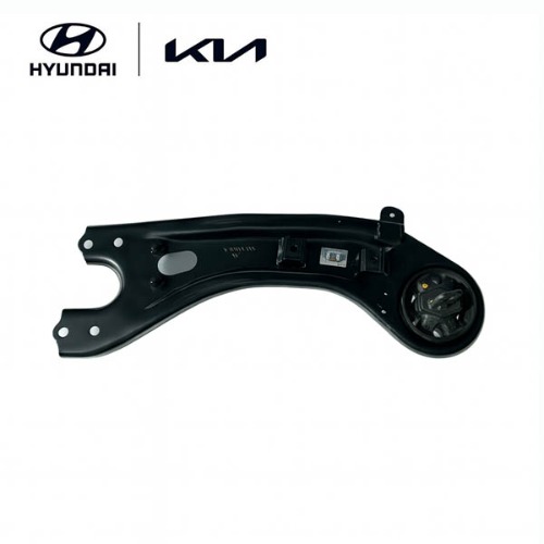 Right Rear Trailing Arm