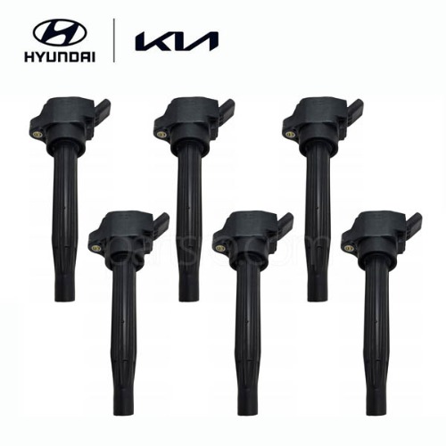 Комплект из 6 оригинальных катушек зажигания для K8 (GL3)