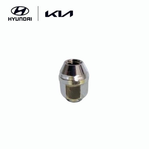 Hub Nut