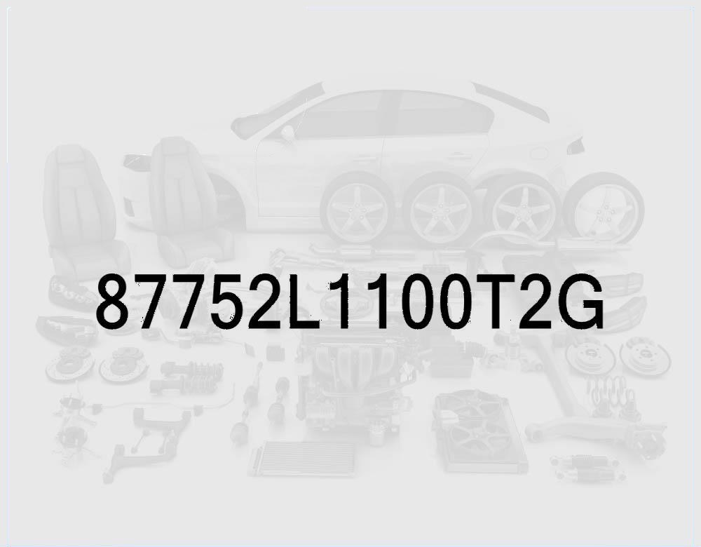 Passenger Side Skirt Molding (Nocturne Gray)