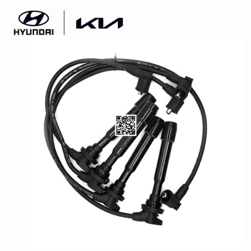 Spark Plug Wire Set