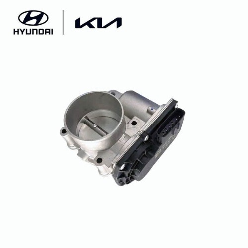 Throttle Body