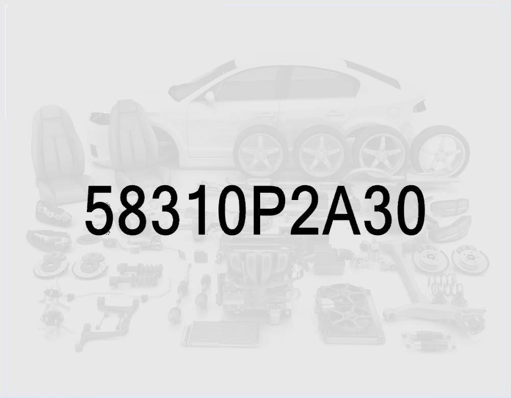 Rear Brake Caliper Kit, Left