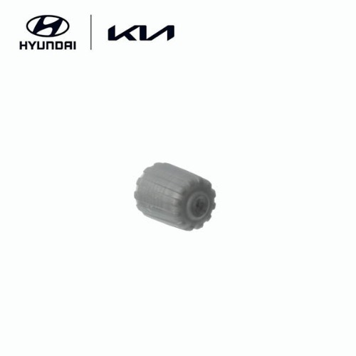 Колпачок ниппеля шины (колпачок датчика TPMS)