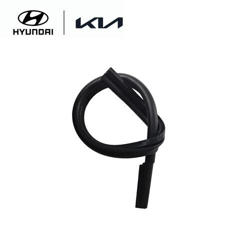 Right Hood Seal Strip