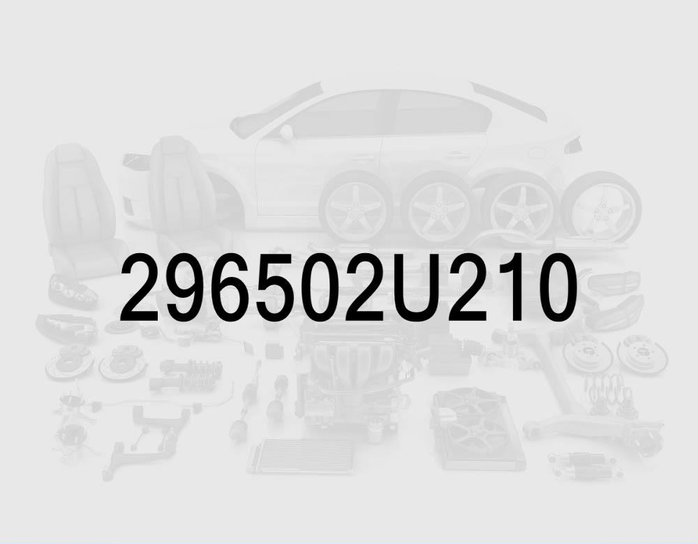 NOx Sensor