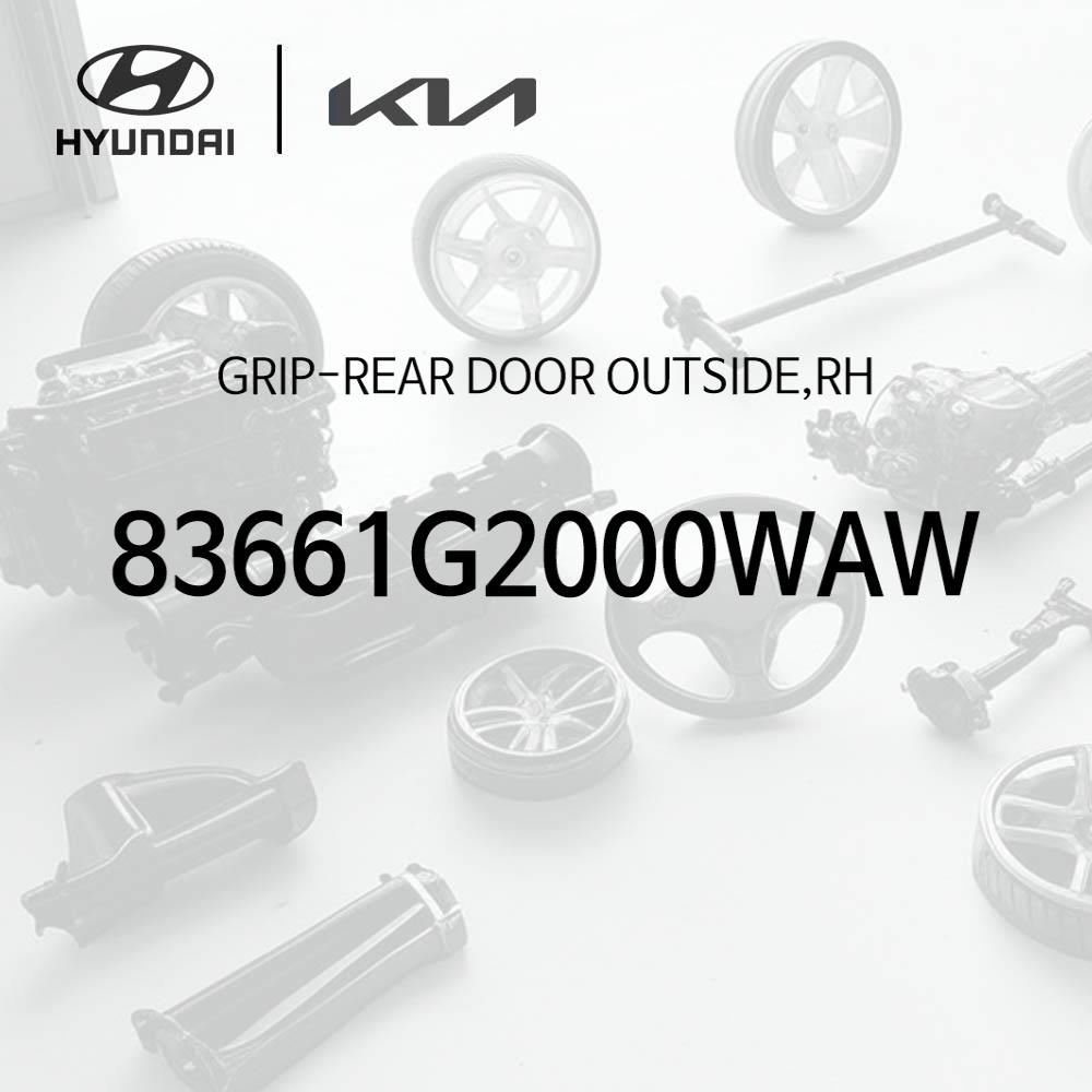 Right Rear Door Outside Grip