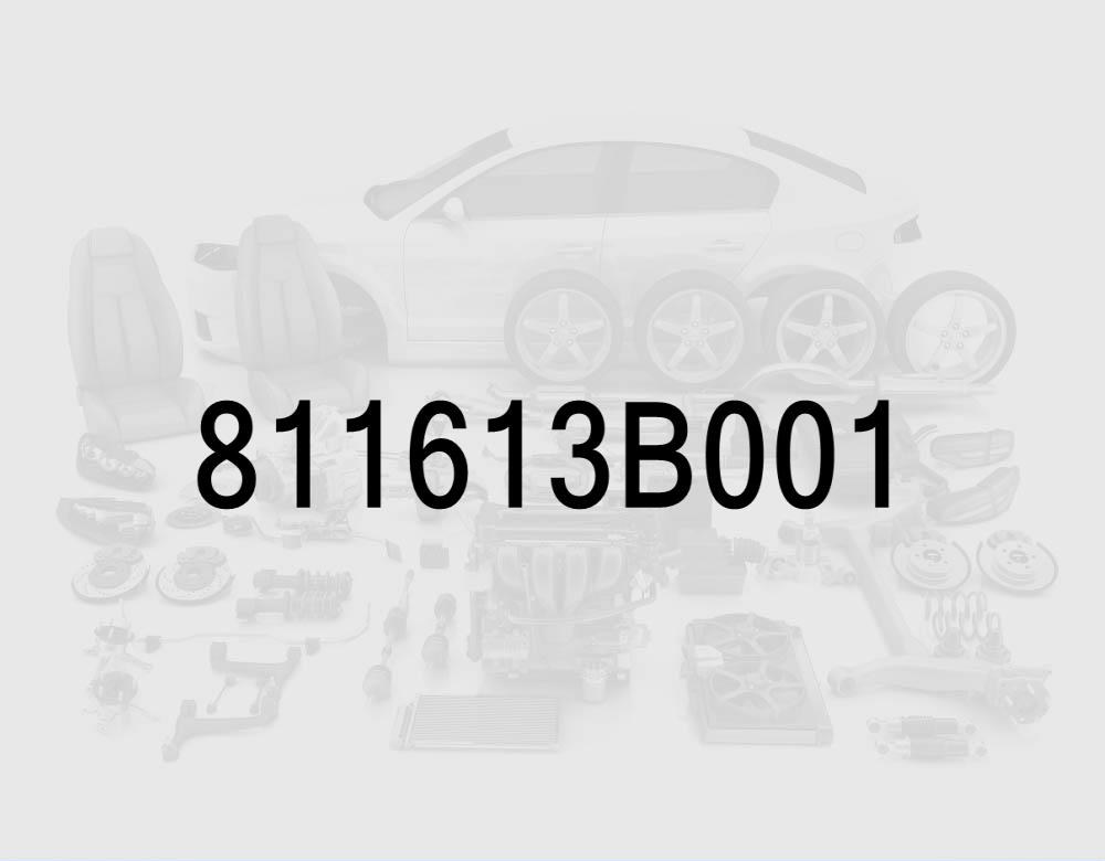 Left Hood Lift Support