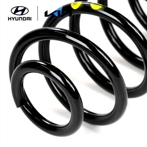 Front Shock Absorber Spring