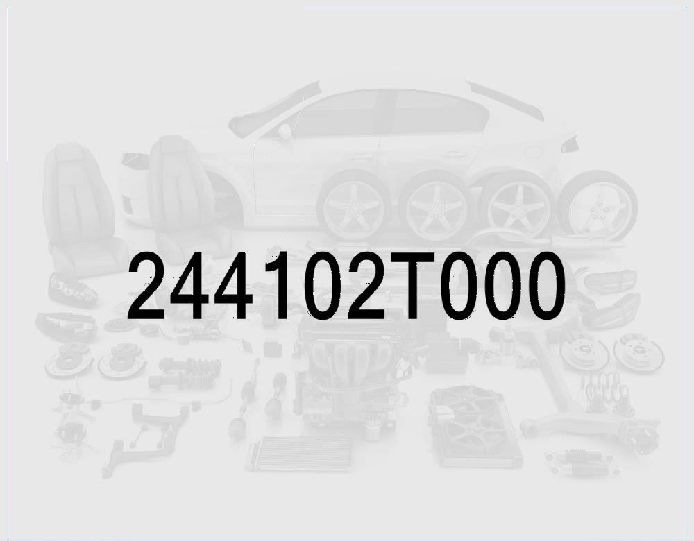 Timing Chain Tensioner