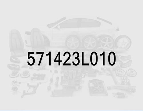 Power Steering Pipe
