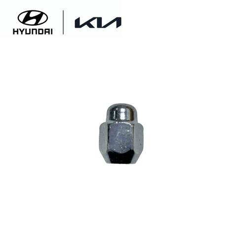Hub Nut