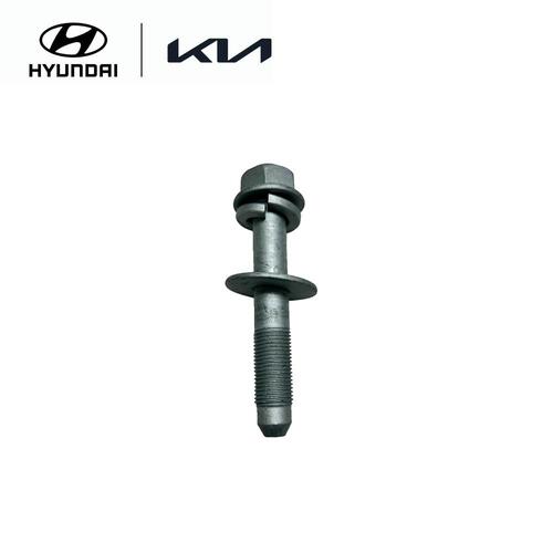 Washer Bolt