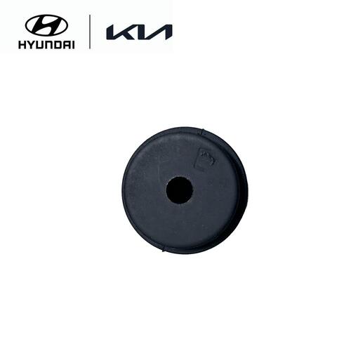 Pulsation Damper (Engine Vibration Reduction)