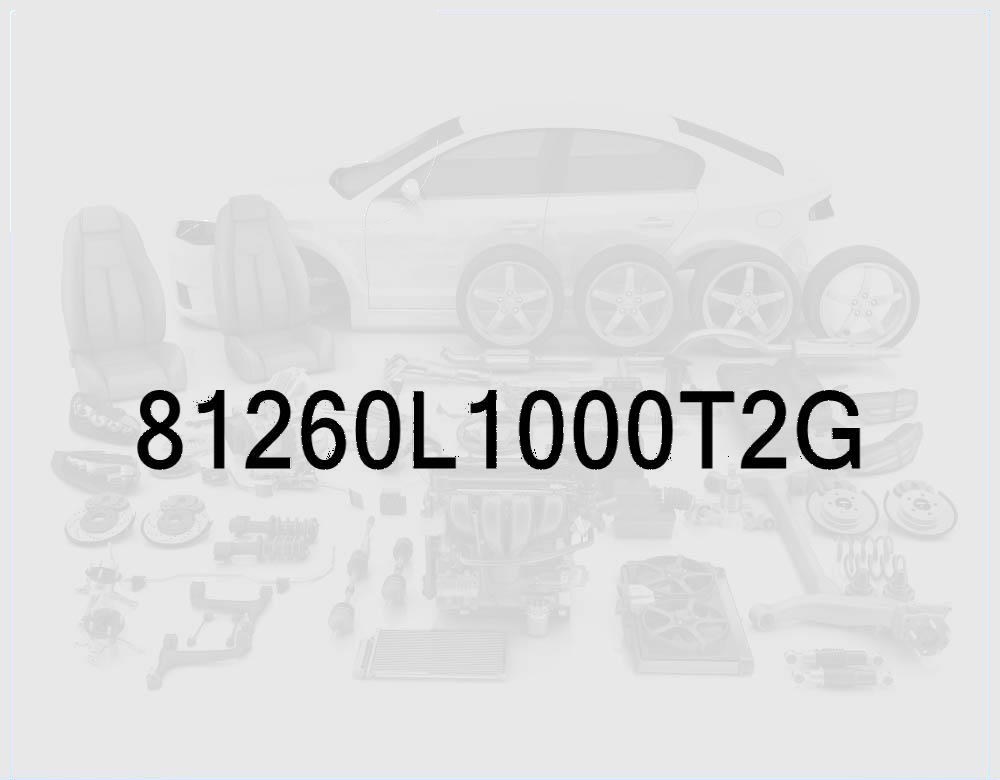 Trunk Lid Outside Handle and Lock, Nocturne Gray