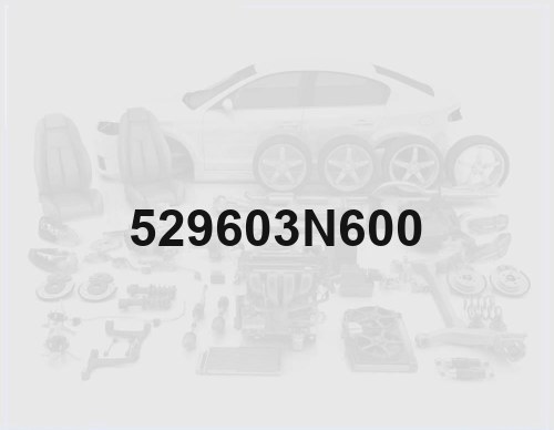 Wheel Hub Cap