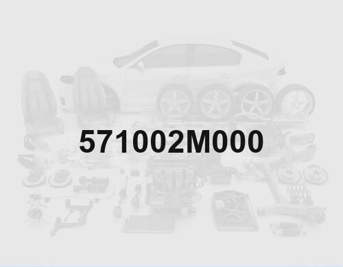 Насос гидроусилителя Genesis Coupe 2.0