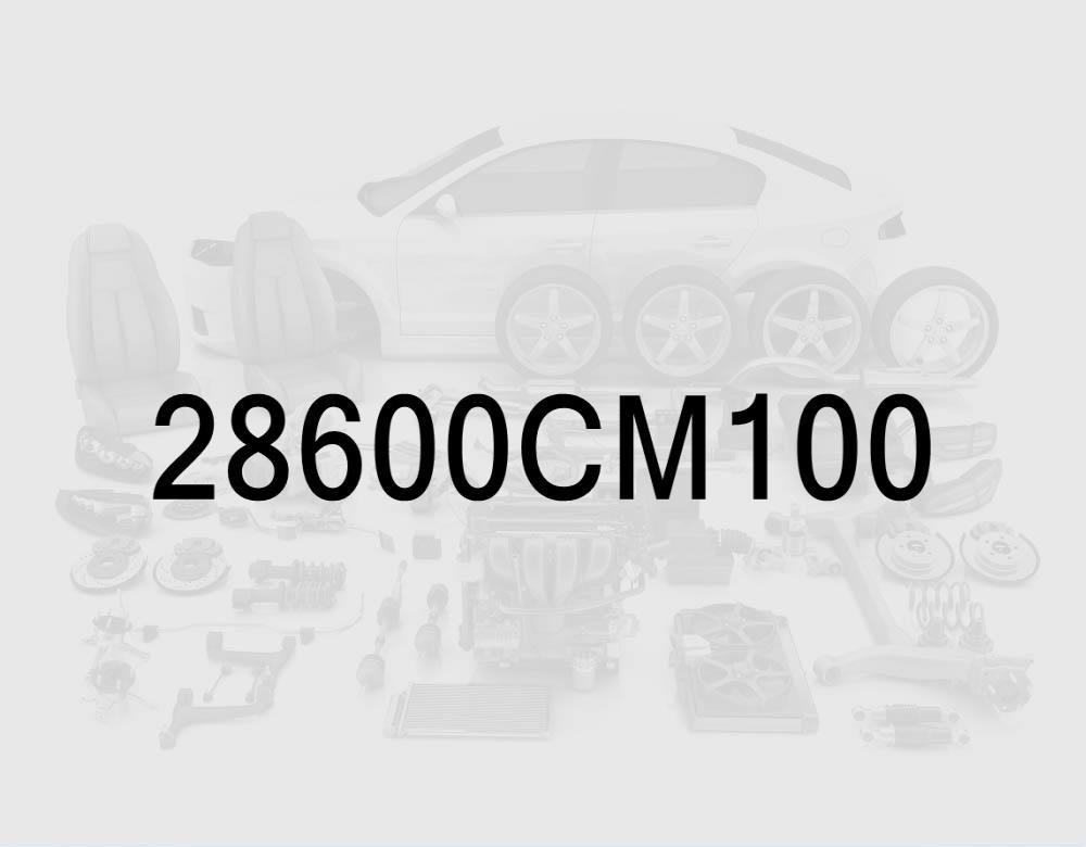 Muffler Assembly - Center
