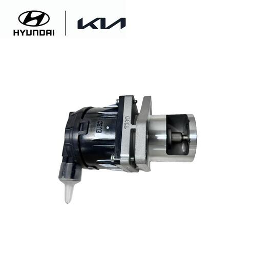 EGR Valve