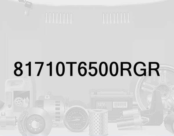 Tailgate Lower Trim