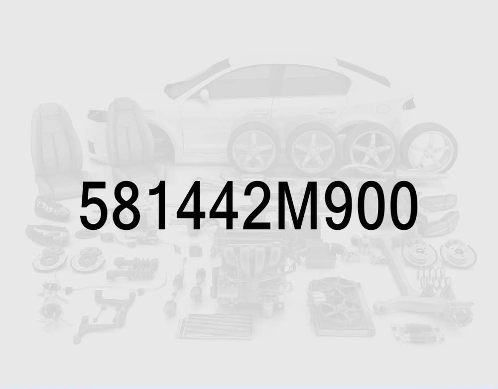 Brake Pad Spring