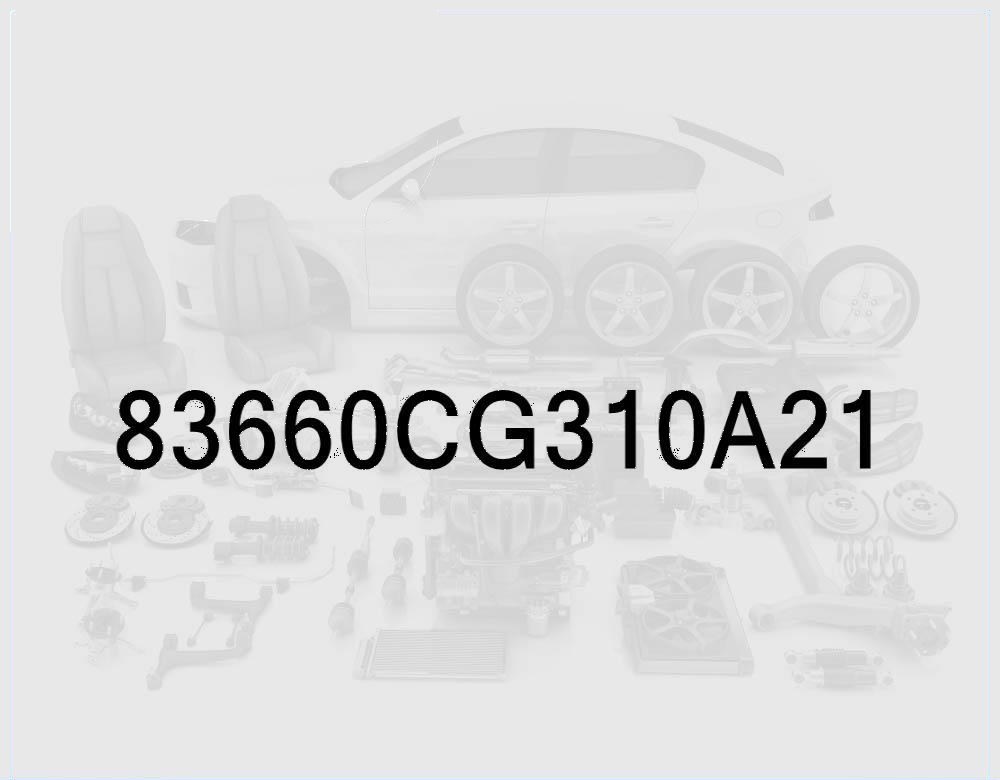 Passenger Side Rear Door Outside Handle