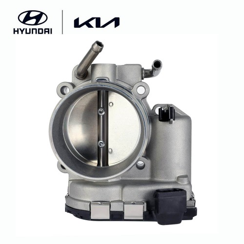Throttle Body
