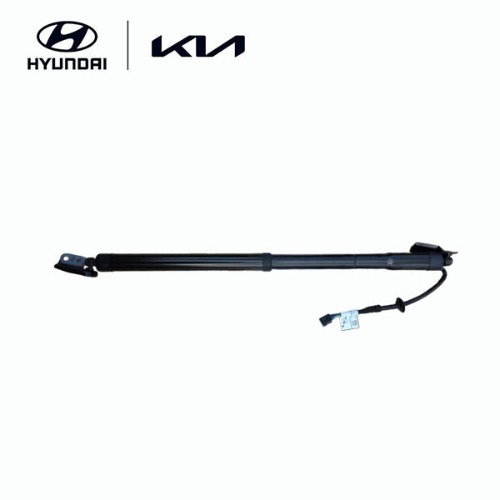 Power Tailgate Lifter, Right