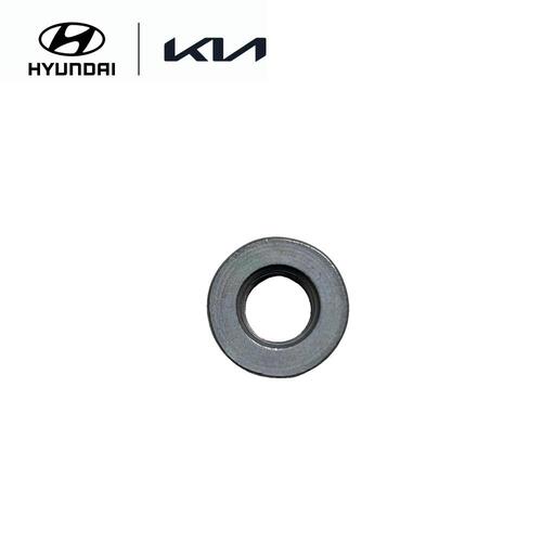 Flange Nut