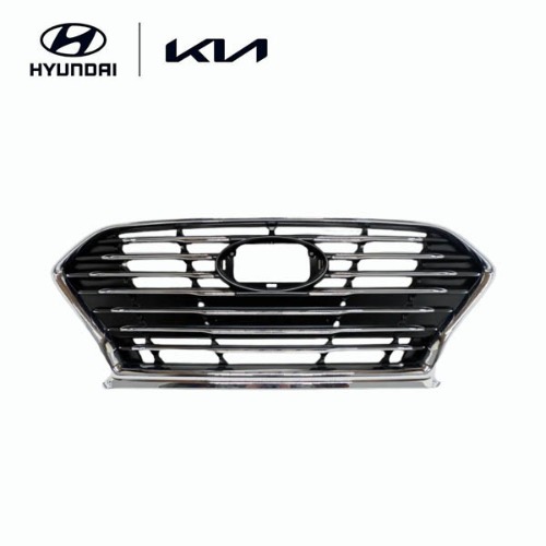 Radiator Grille