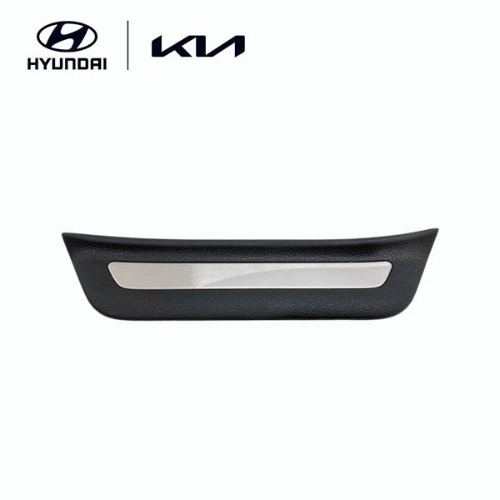 Right Rear Step Plate Trim