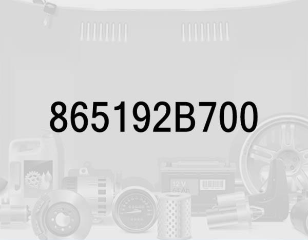 Front Bumper License Plate Molding