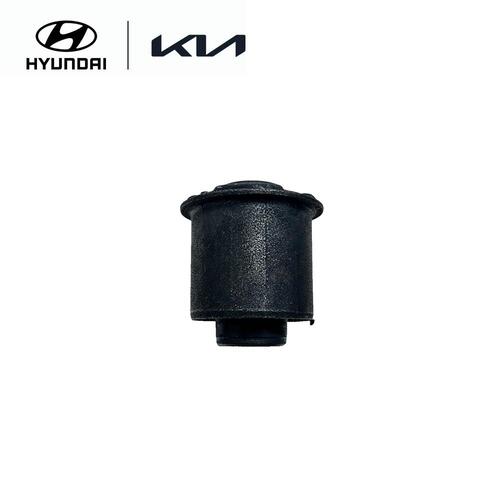 Rear Lower Control Arm Bushing