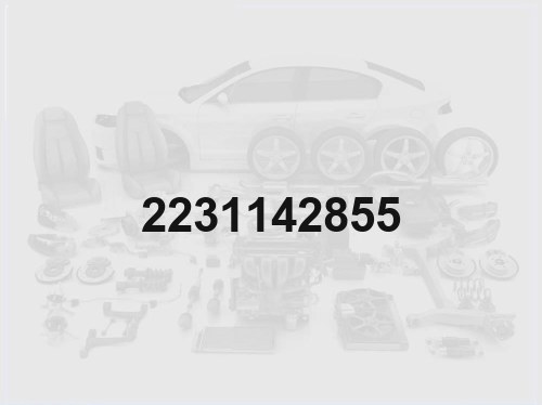 Cylinder Head Gasket