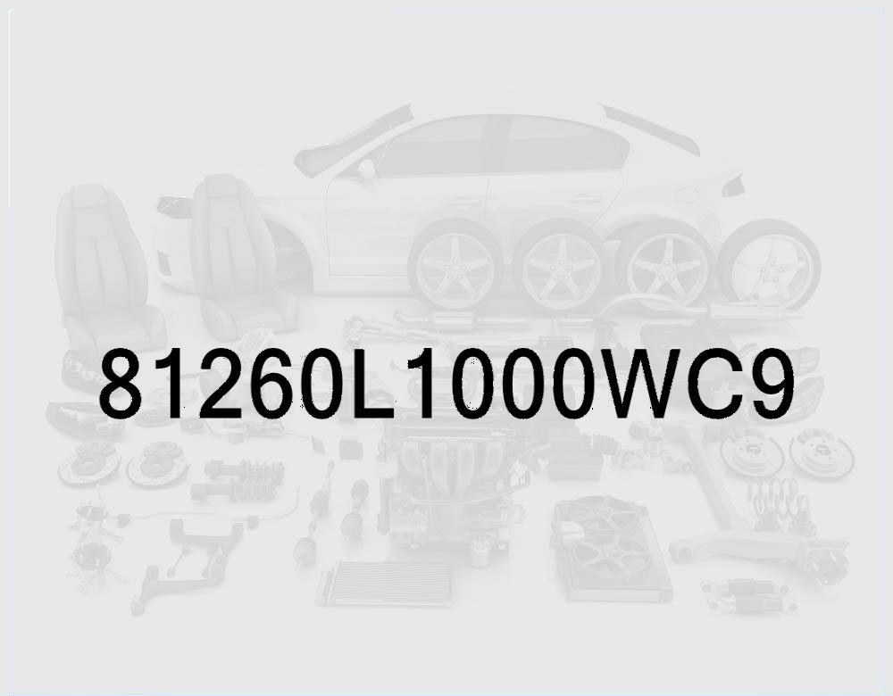 Trunk Lid Outside Handle and Lock