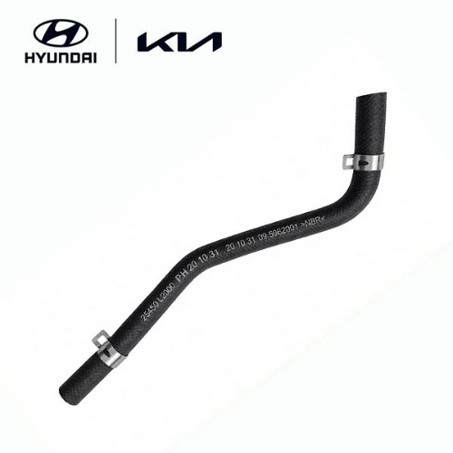 Degassing Hose
