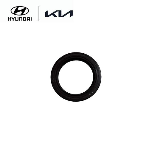 Oil Seal