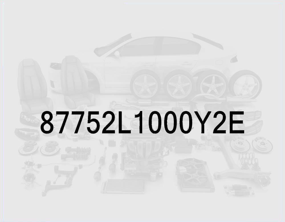 Side Sill Molding (Side Skirt), Passenger Side