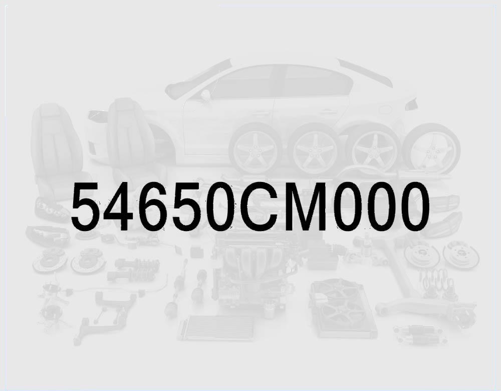 Left Front Strut (Shock Absorber)