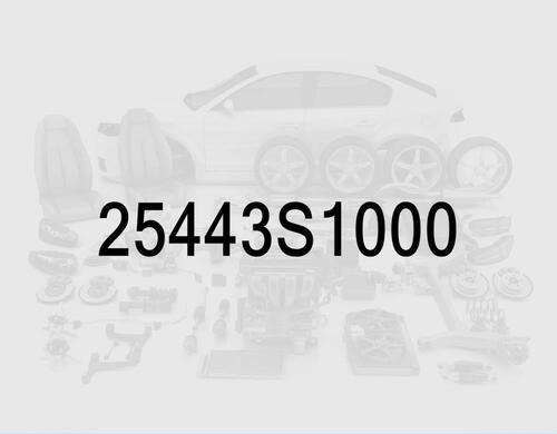 Radiator Reservoir Hose