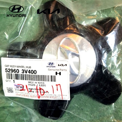 Wheel Hub Cap (1pc)