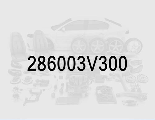 Muffler Assembly, Center