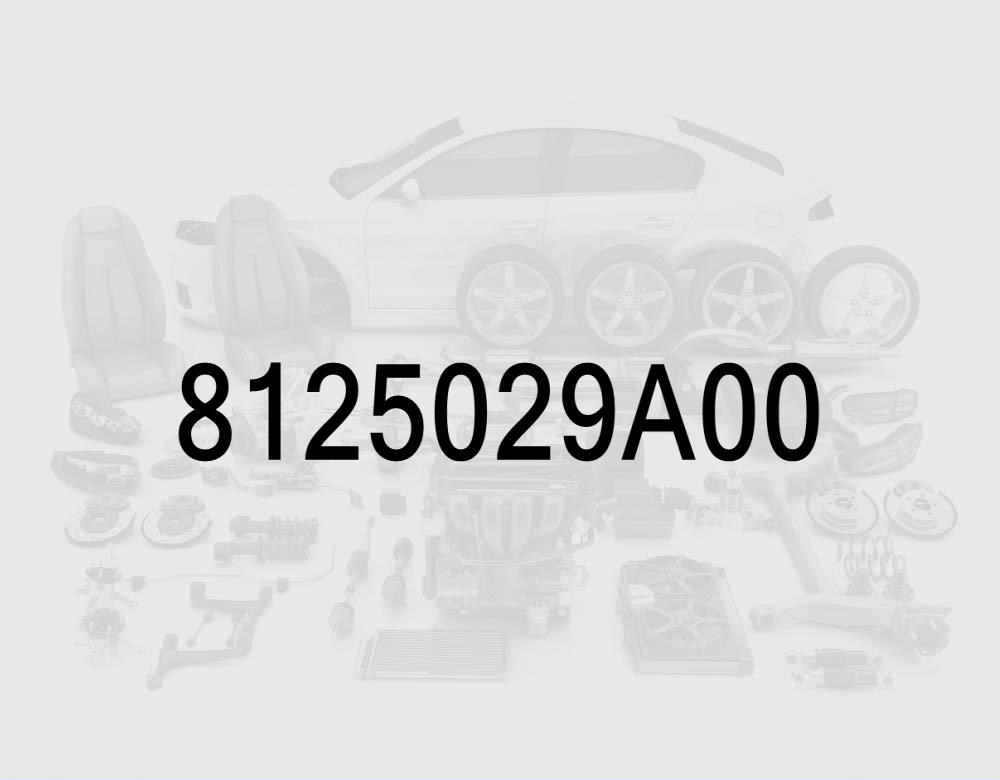 Trunk Lid Lock