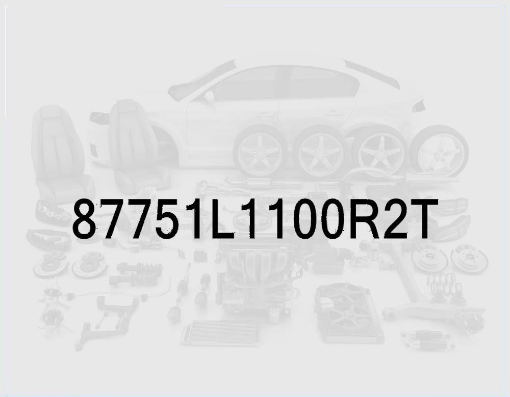 Driver Side Skirt Molding